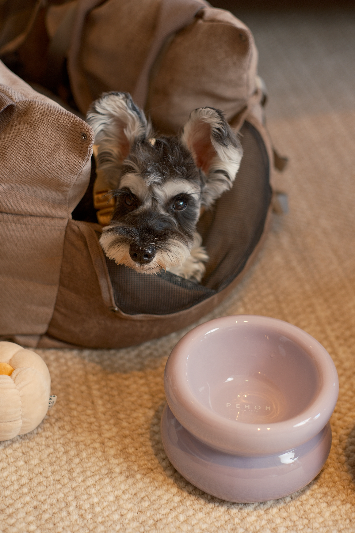 PEHOM | Soufflé Pet Bowl | Purple