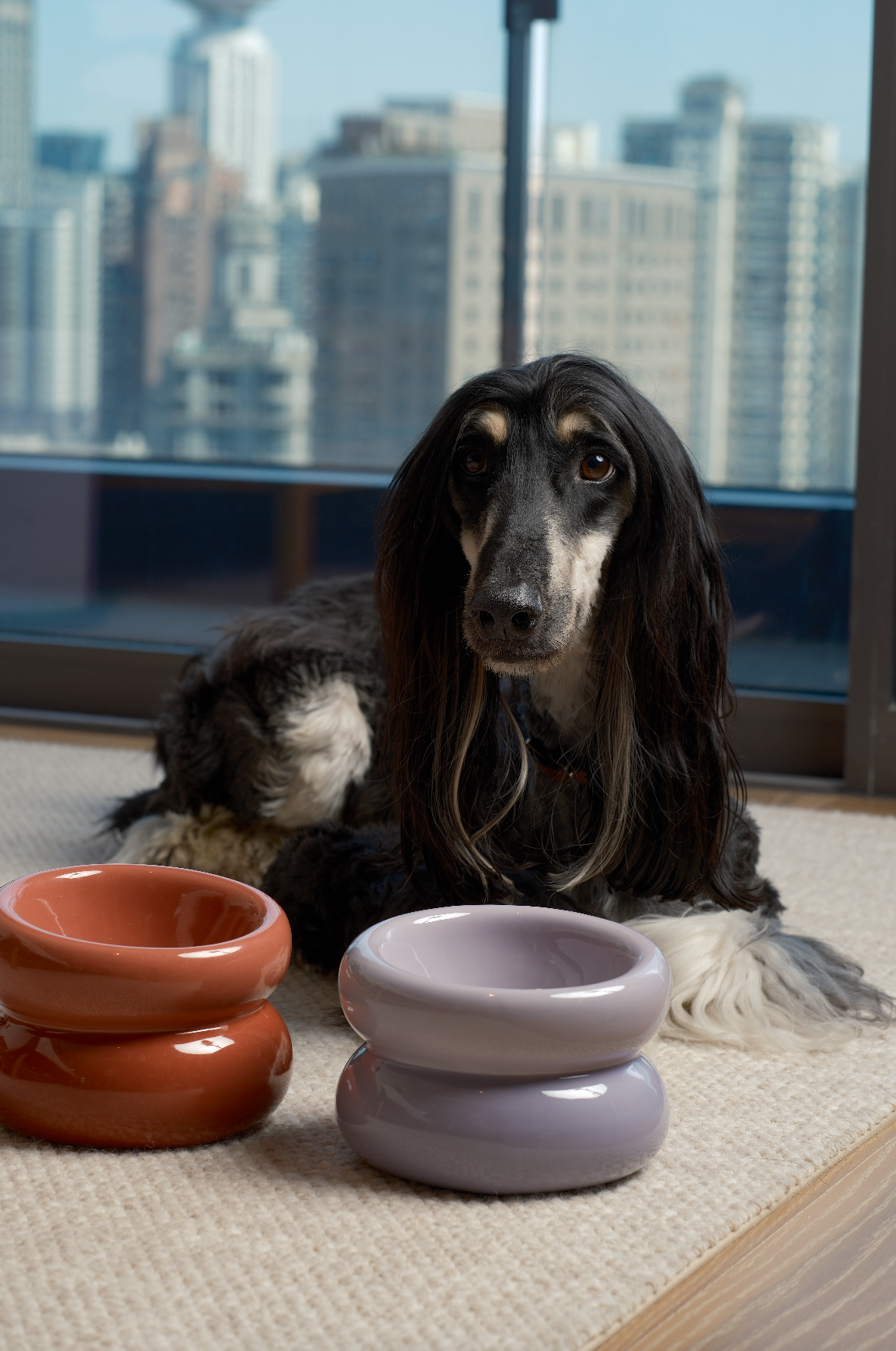 PEHOM | Soufflé Pet Bowl | Purple