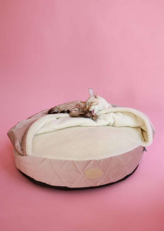 Harley & Cho | Cover Cat Bed