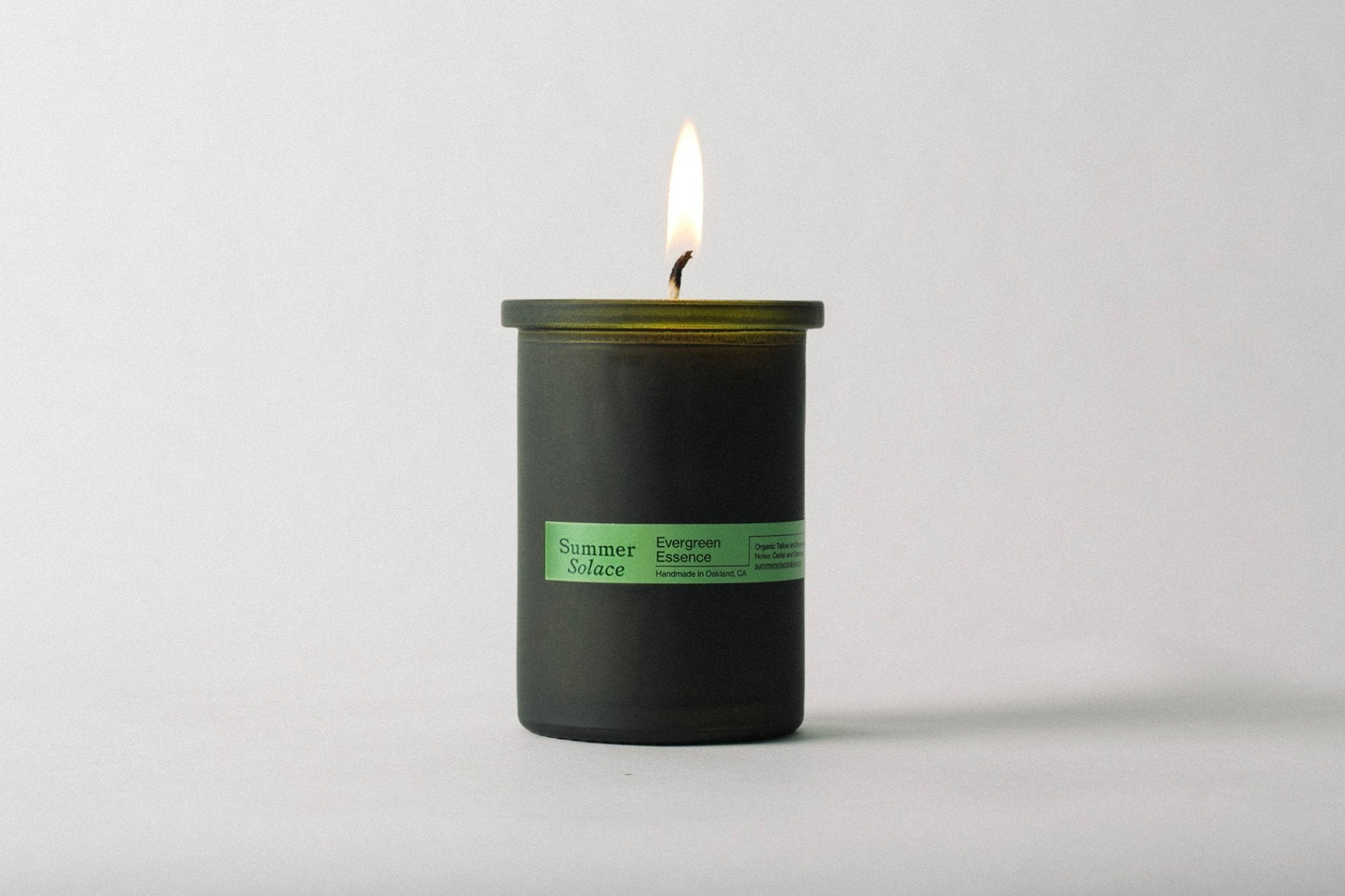 Evergreen Essence – Cedar & Oakmoss Candle | 6oz Tallow & Beeswax