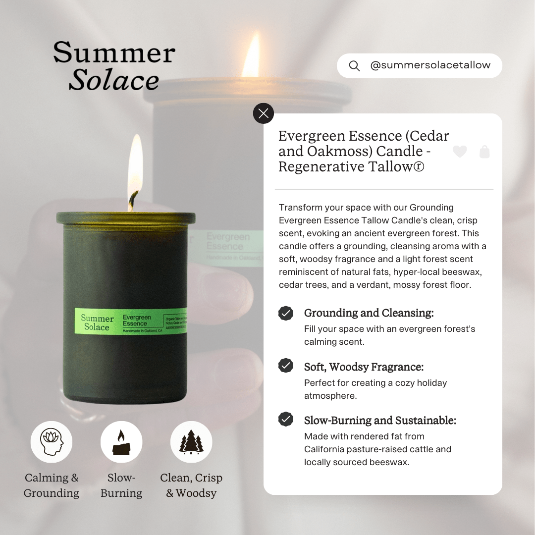 Evergreen Essence – Cedar & Oakmoss Candle | 6oz Tallow & Beeswax