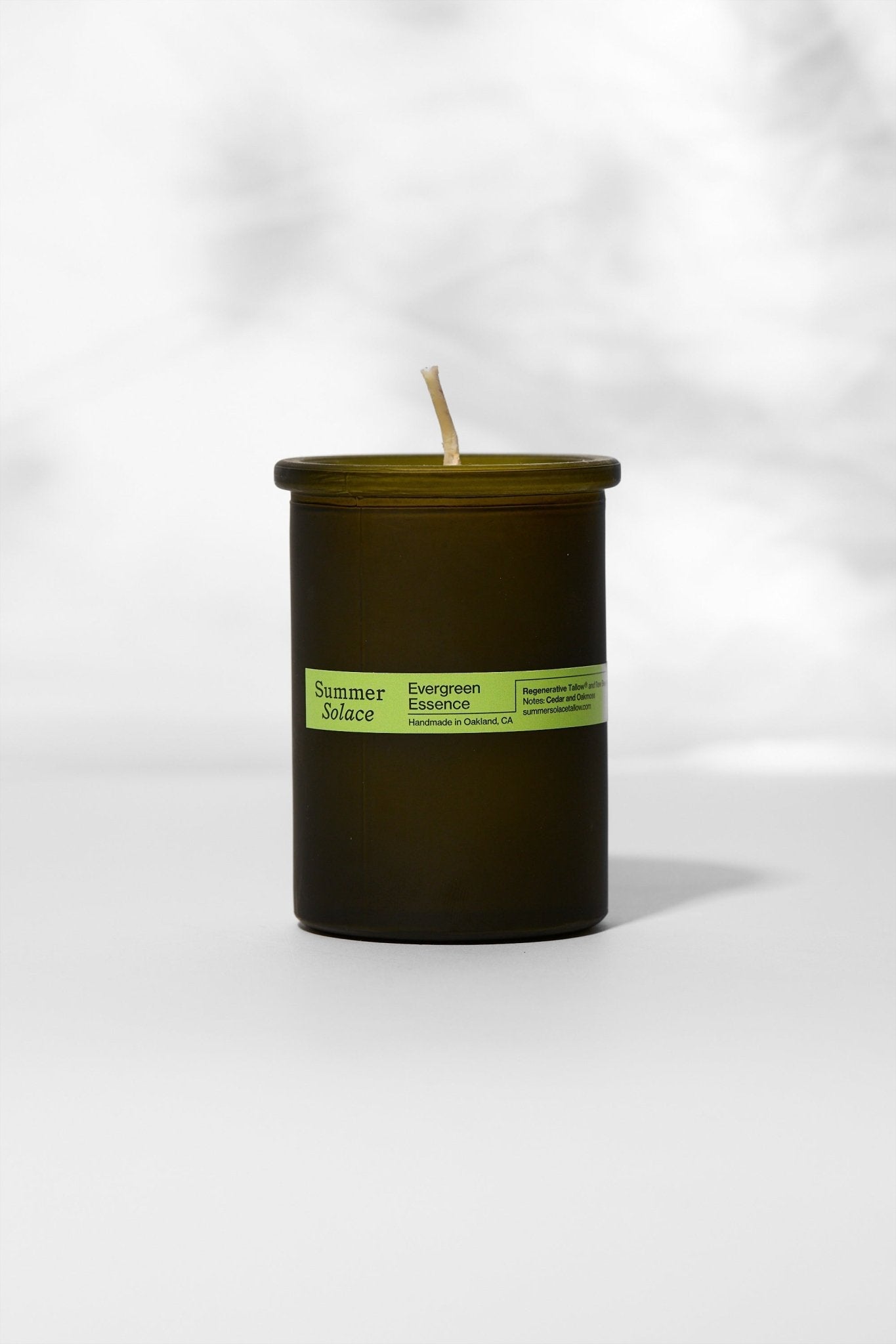 Evergreen Essence – Cedar & Oakmoss Candle | 6oz Tallow & Beeswax