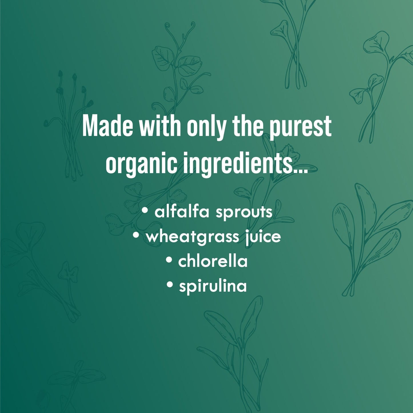 Green Fuel Sprout Powder