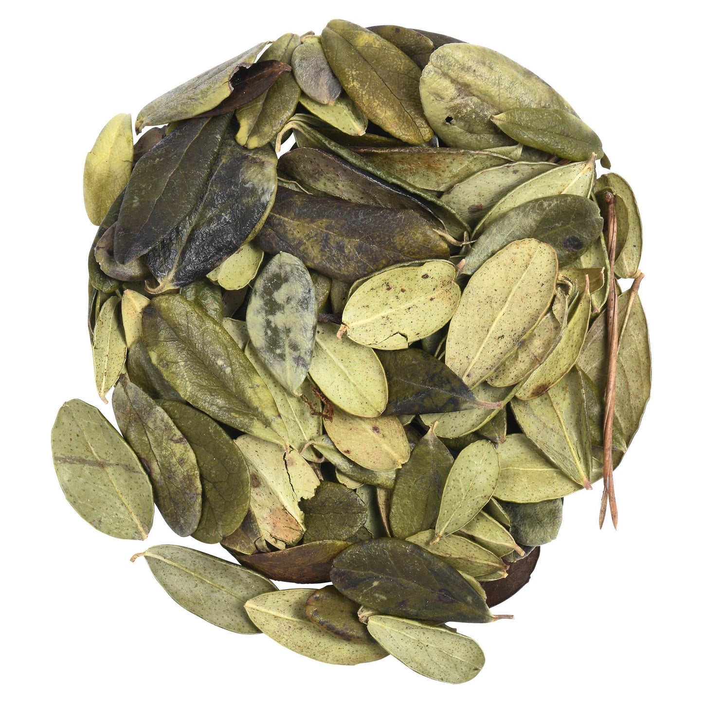 Uva Ursi | Premium Loose Leaf Dried Leaves