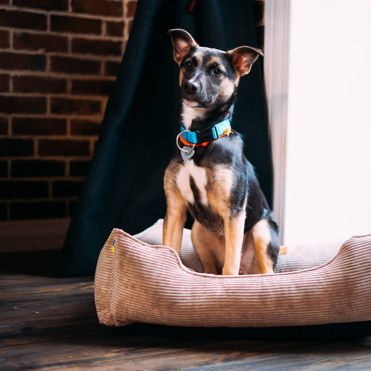 Dreamer Corduroy Dog Bed