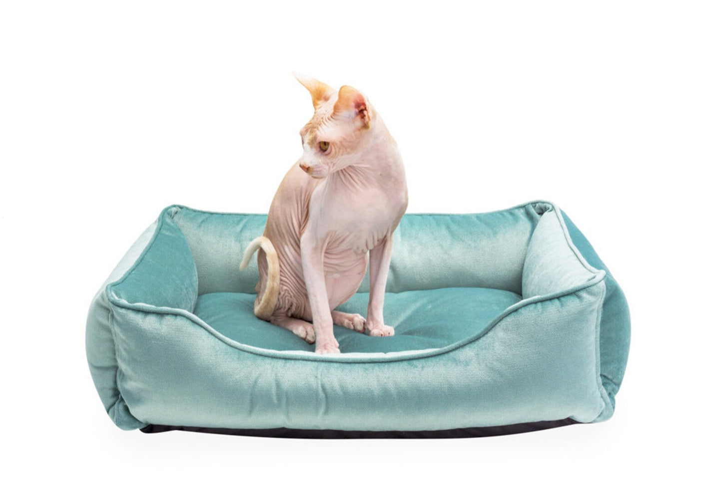 Dreamer Velvet Cat Bed