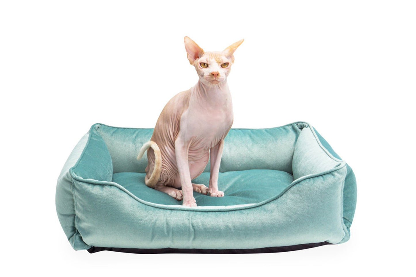 Dreamer Velvet Cat Bed