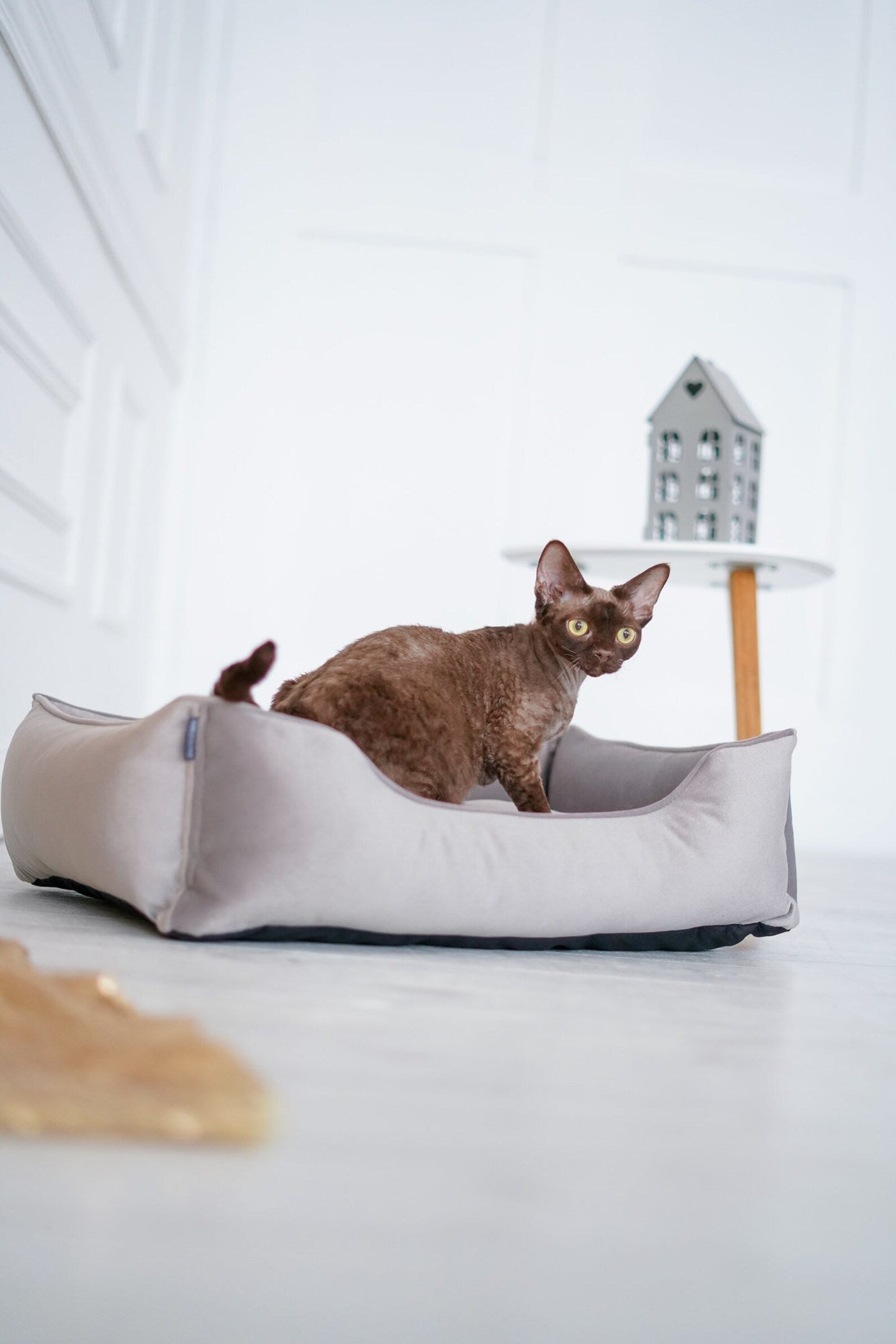 Dreamer Velvet Cat Bed