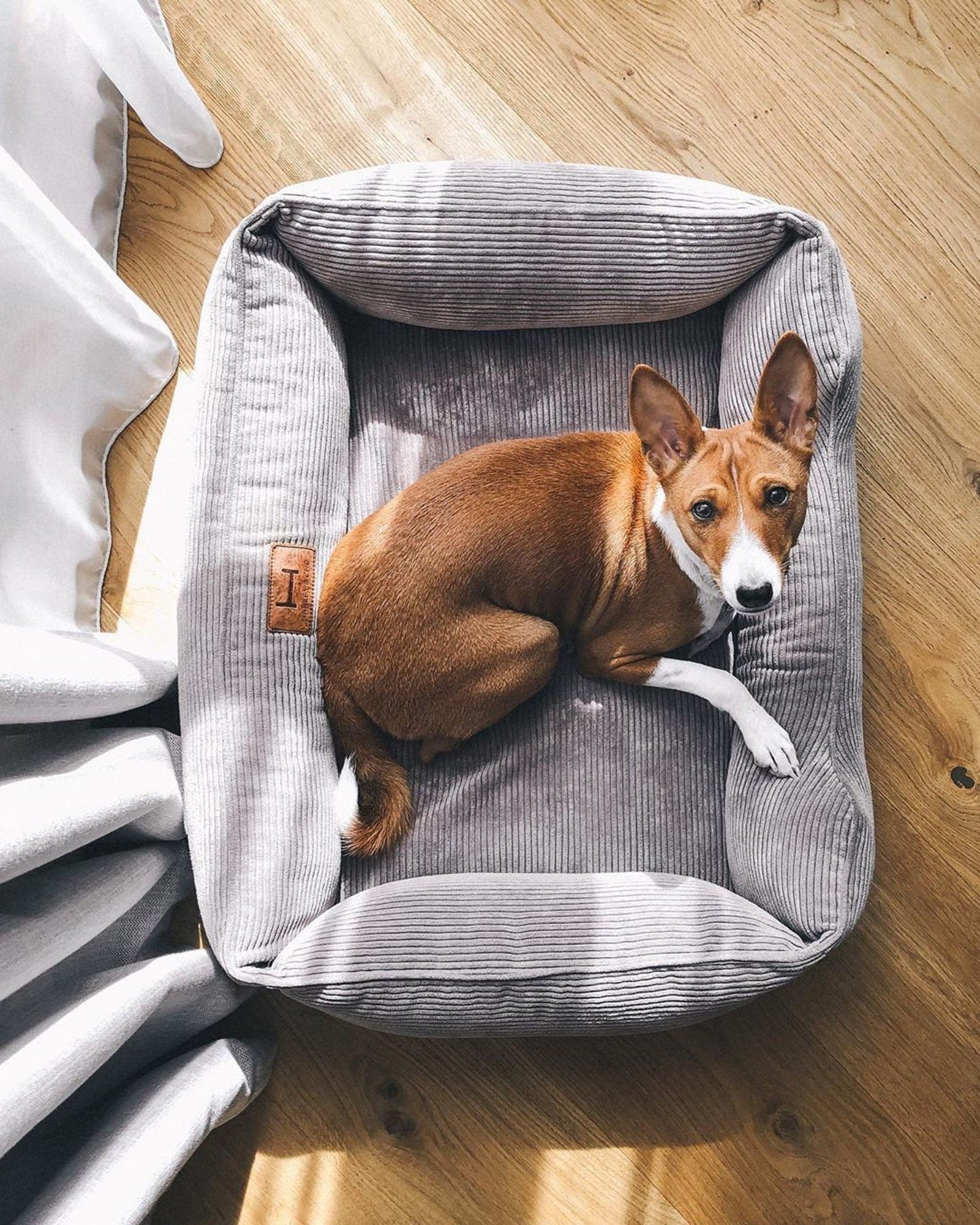 Dreamer Corduroy Dog Bed