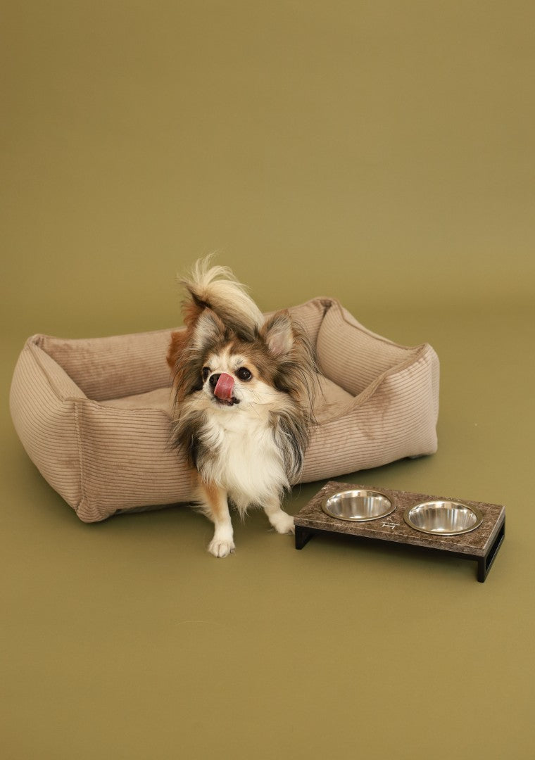 Dreamer Corduroy Dog Bed