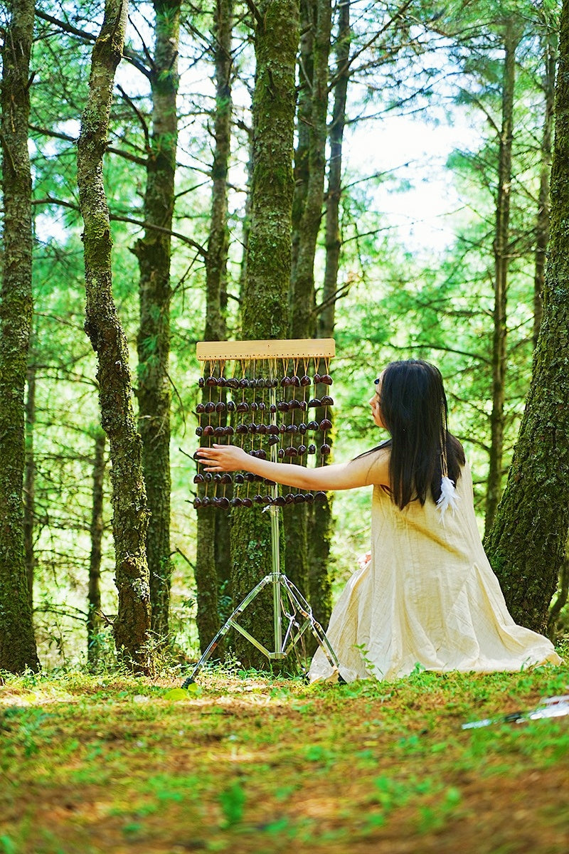 Handmade Juju Duckvine Seed Shell Bar Wind Chime