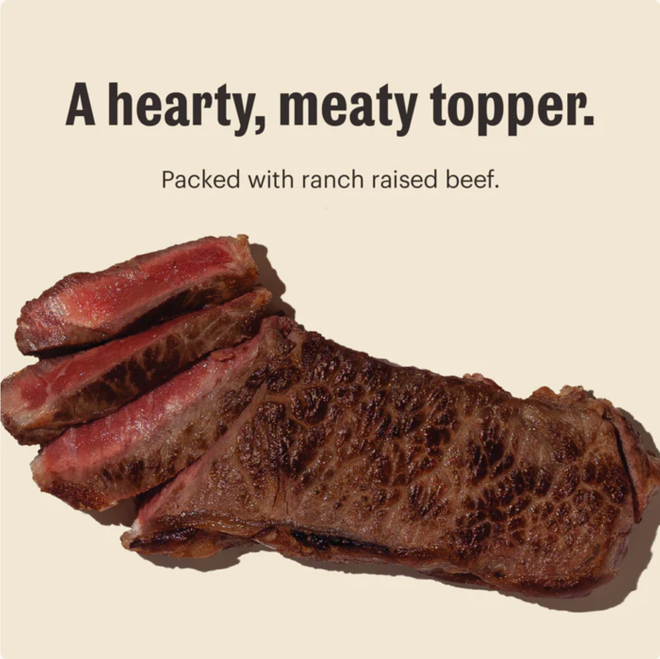 The Honest Kitchen | Doggy Meal Boost 99% Beef