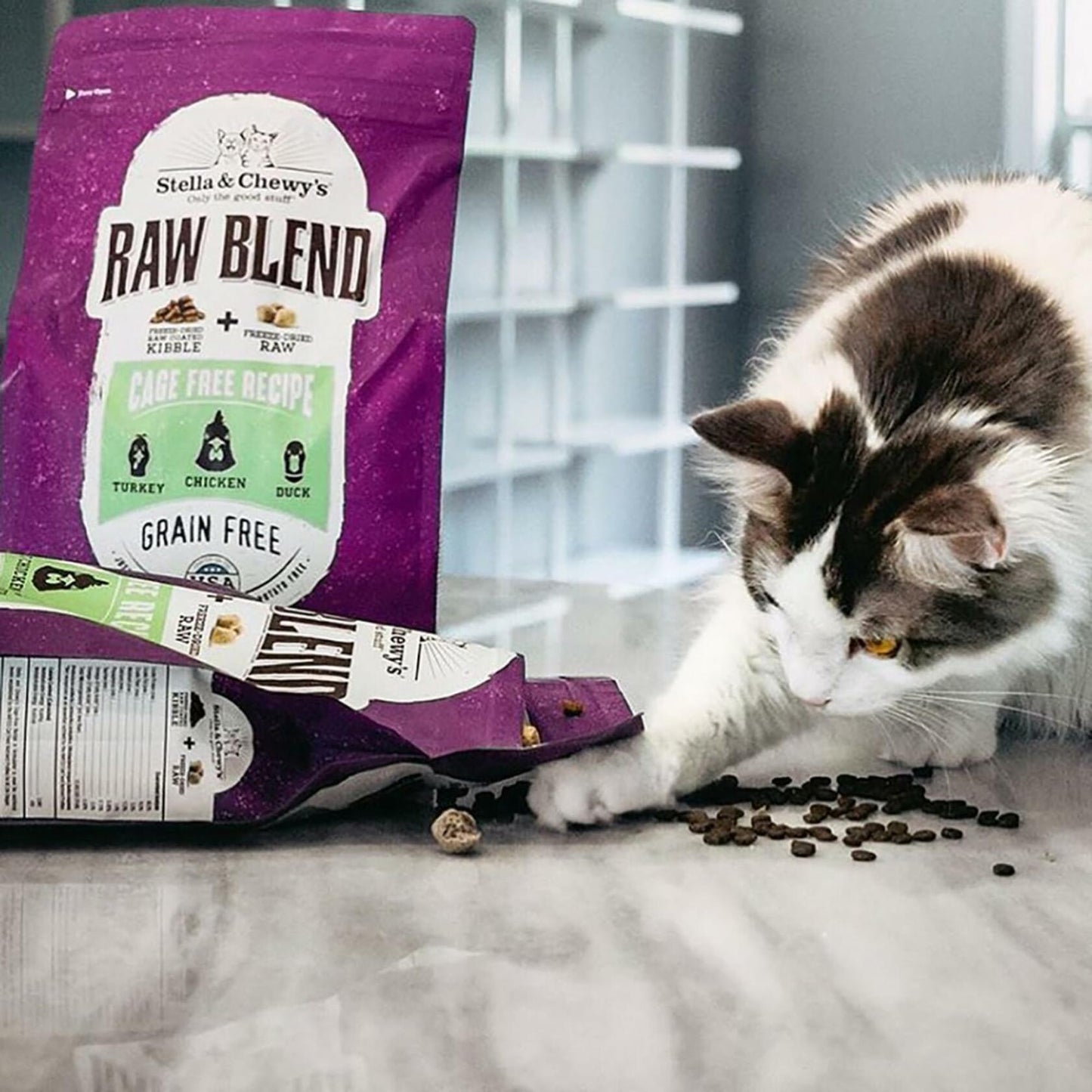 Stella & Chewy's | Raw Blend Cat Food