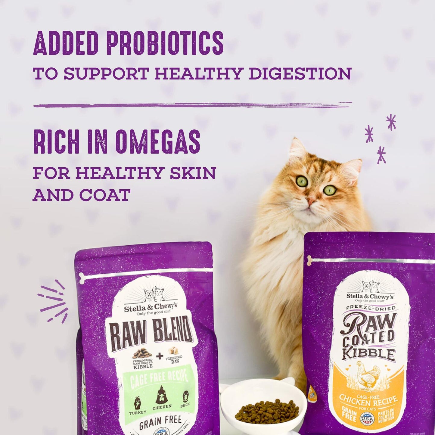 Stella & Chewy's | Raw Blend Cat Food