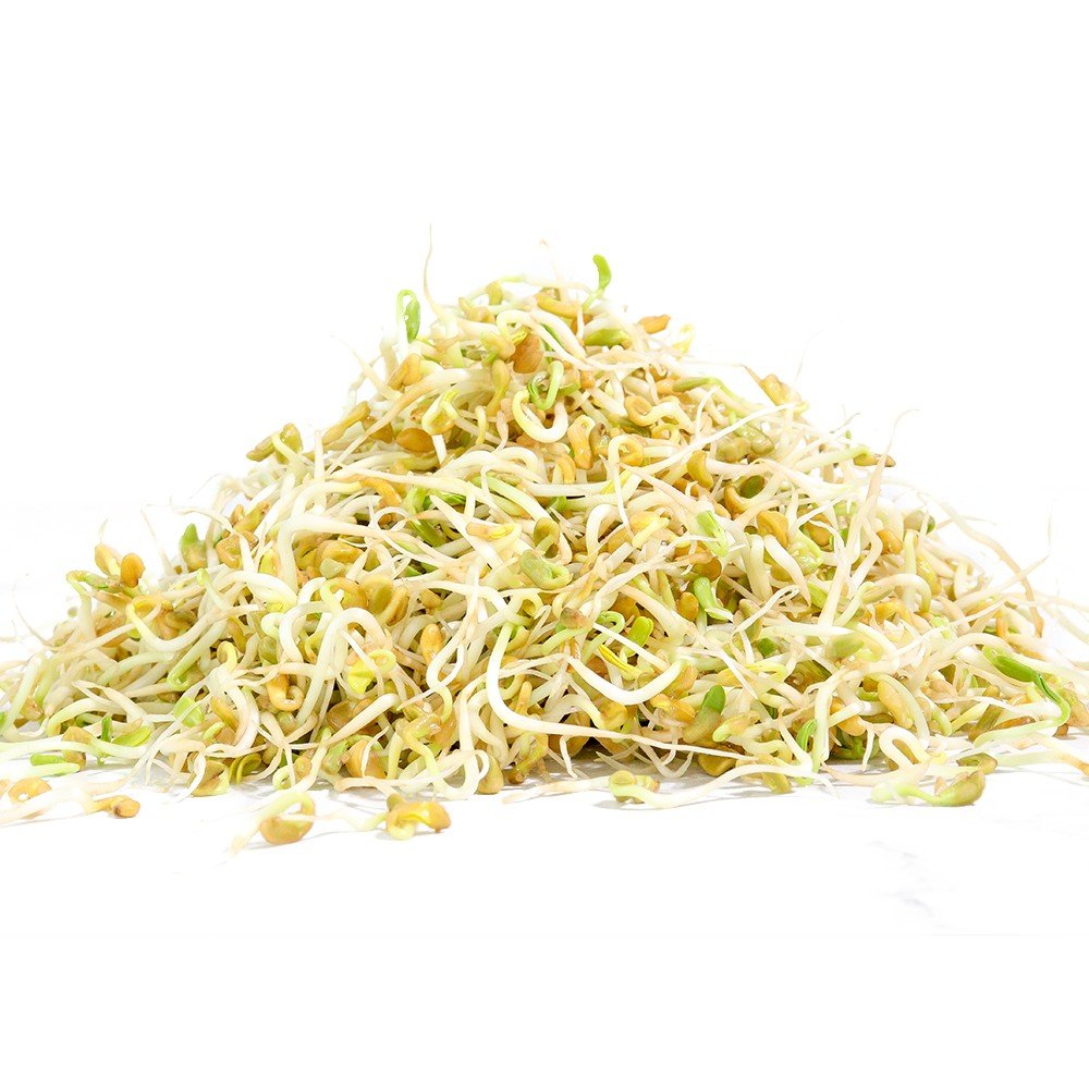 Organic Fenugreek Sprouting Seed