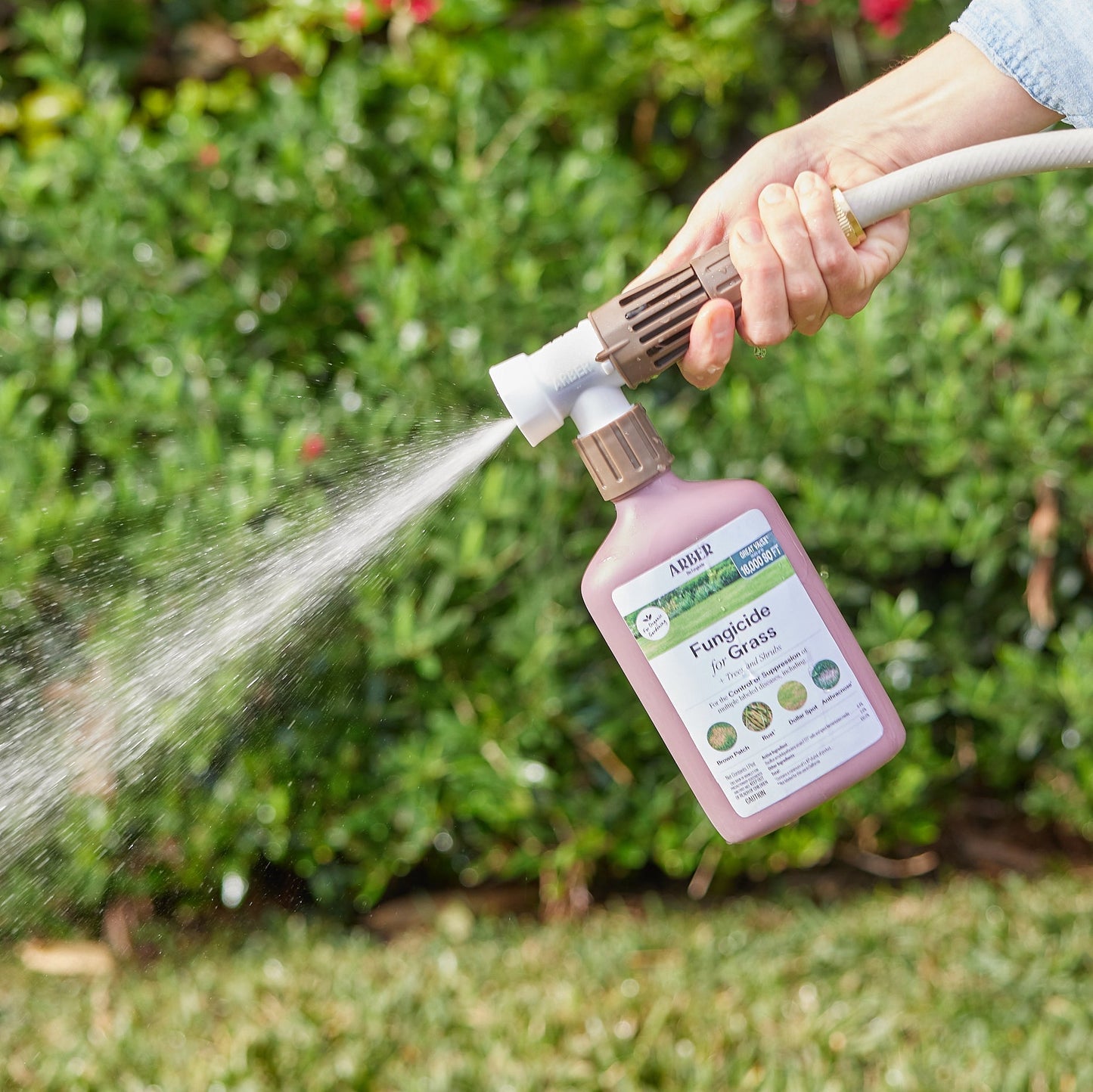 Organic Fungicide for Grass | Trees | Shrubs