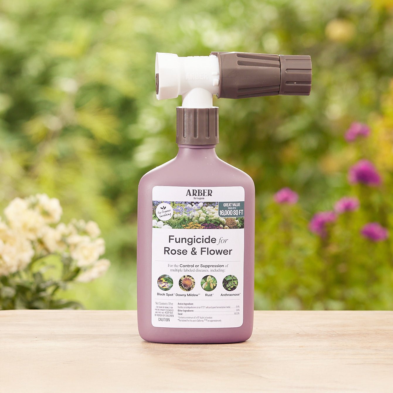 Organic Fungicide for Rose | Flower