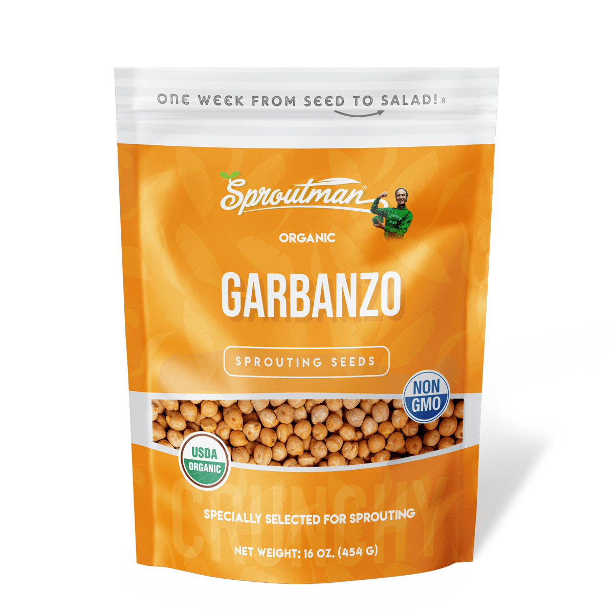 Organic Garbanzo Bean Sprouting Seed
