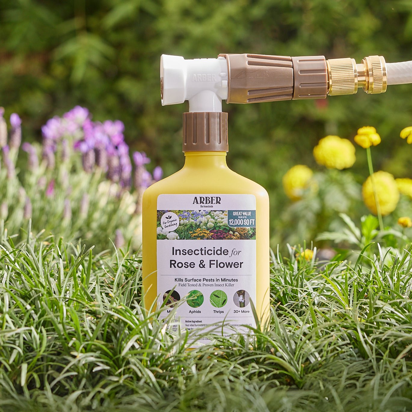 Organic Insecticide for Rose | Flower