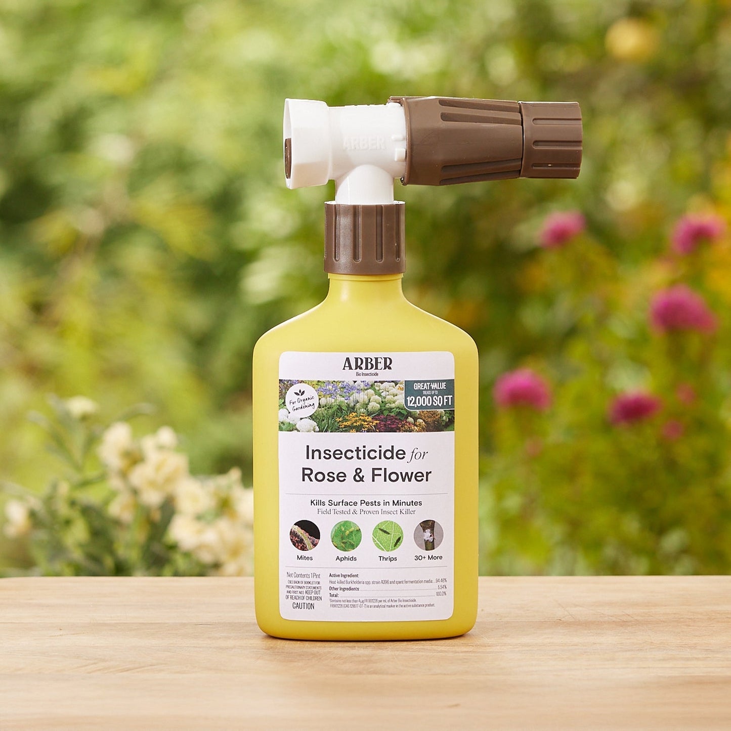 Organic Insecticide for Rose | Flower