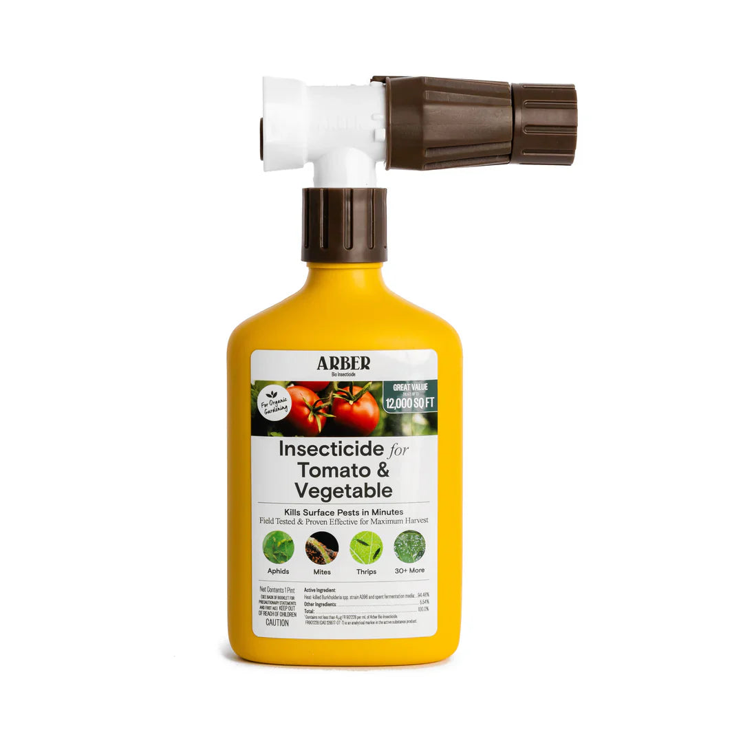 Organic Insecticide for Tomato | Vegetable