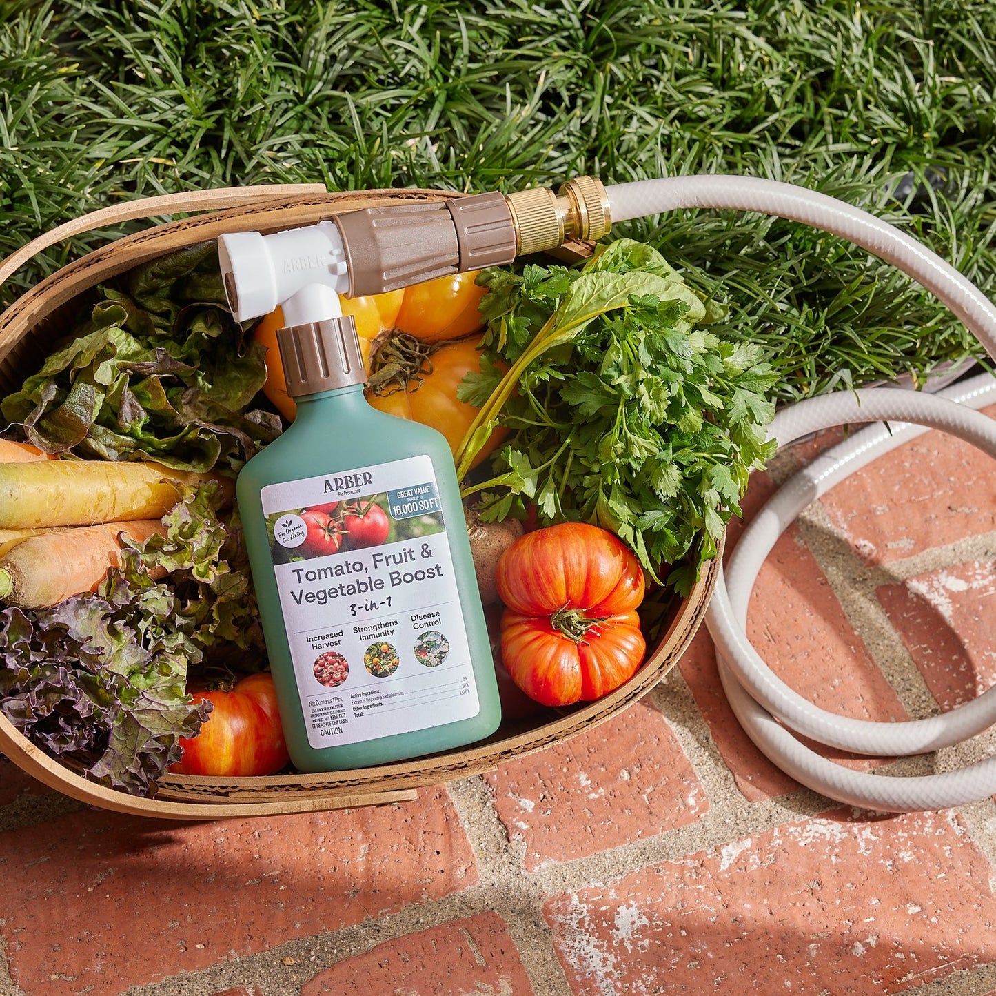 Organic Tomato | Fruit | Vegetable Boost