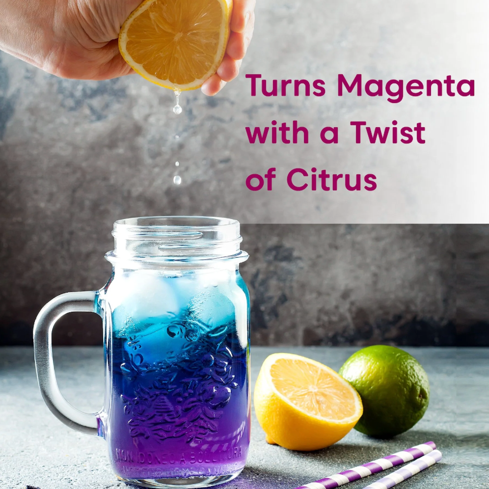 Wilderness Poets | Blue Butterfly Pea Flower Powder