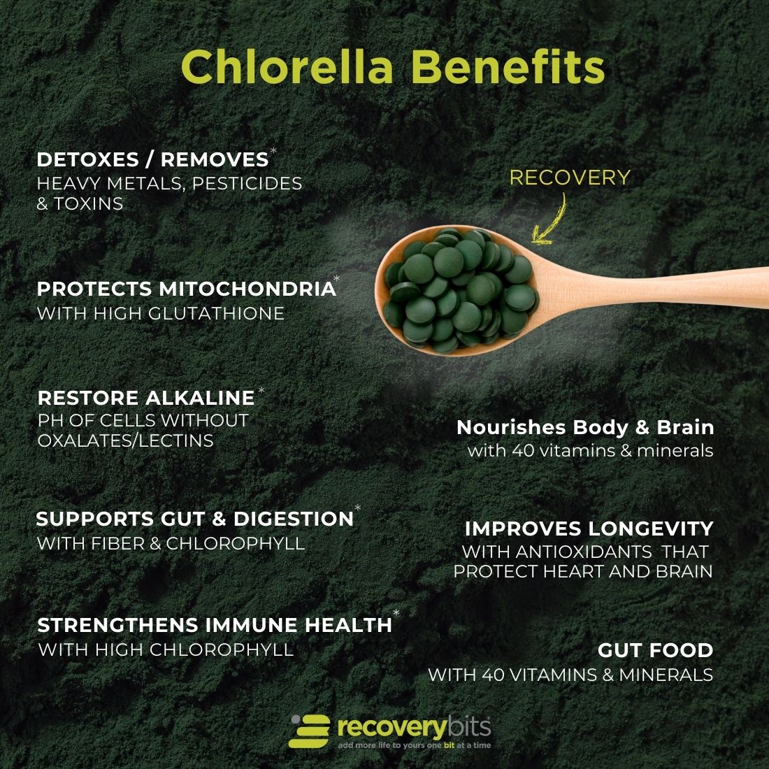 RECOVERYbits® | Chlorella Algae| Small Bag