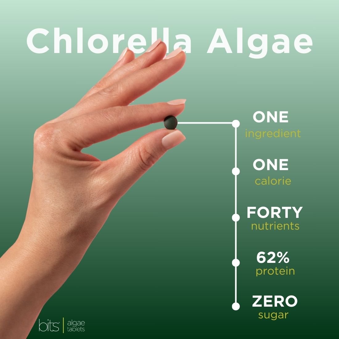 RECOVERYbits® | Chlorella Algae| Small Bag