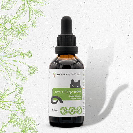 Lion's Digestion | Healthy Digestion Support in Cats