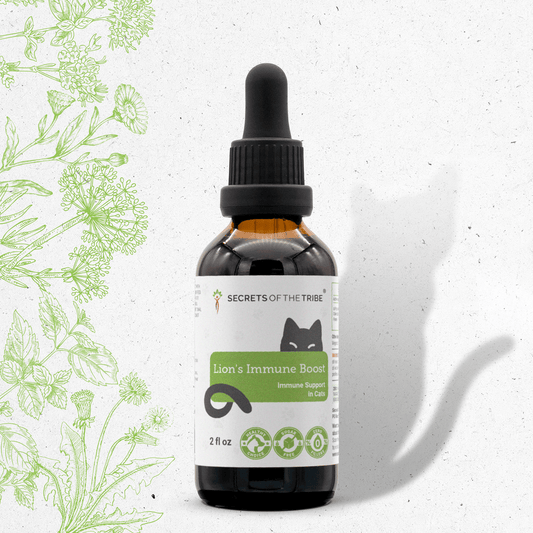 Lion's Immune Boost | Healthy Immunity Support in Cats