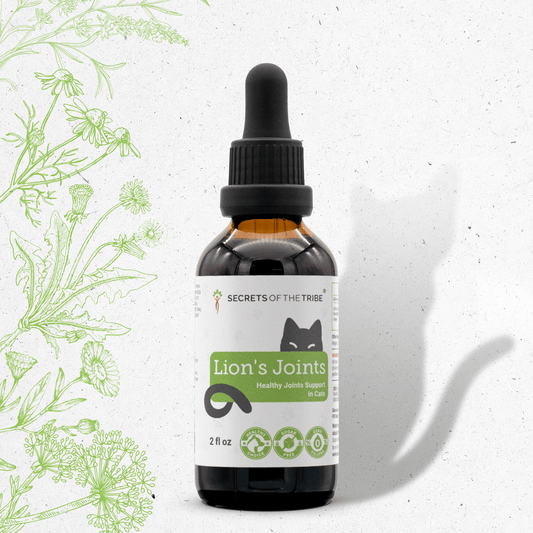 Lion's Joints | Healthy Joint Support in Cats