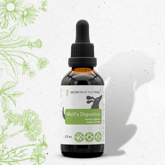 Wolf's Digestion | Healthy Digestion Support in Dogs