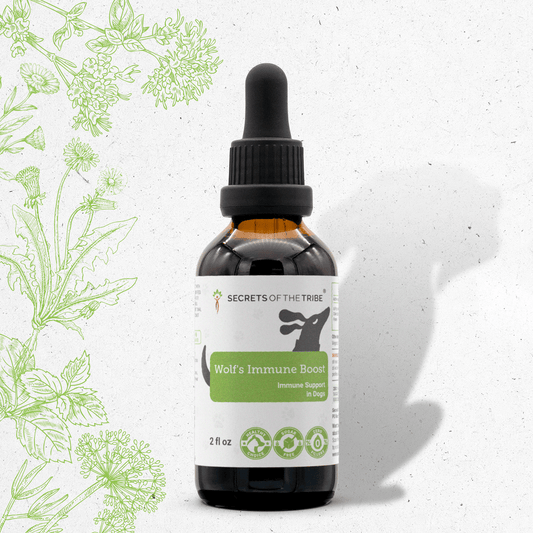 Wolf's Immune Boost | Healthy Immunity Support in Dogs