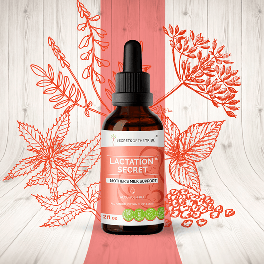 Lactation Secret | Mother's Milk Support
