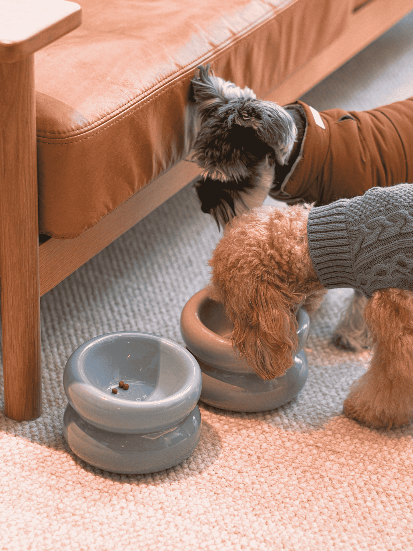 PEHOM | Soufflé Pet Bowl | Frozen Blue