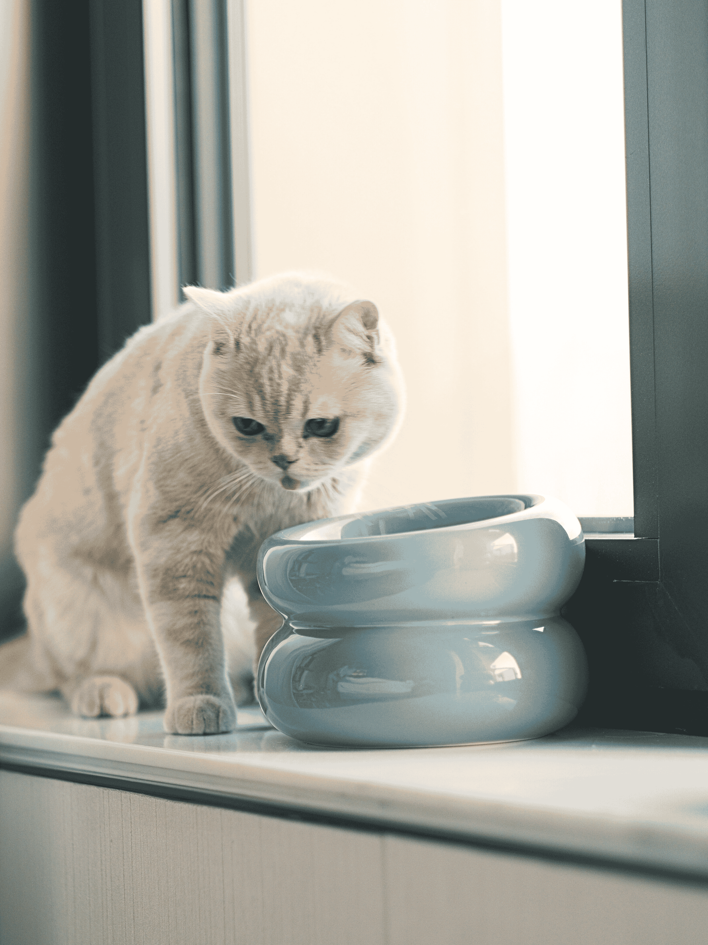 PEHOM | Soufflé Pet Bowl | Frozen Blue