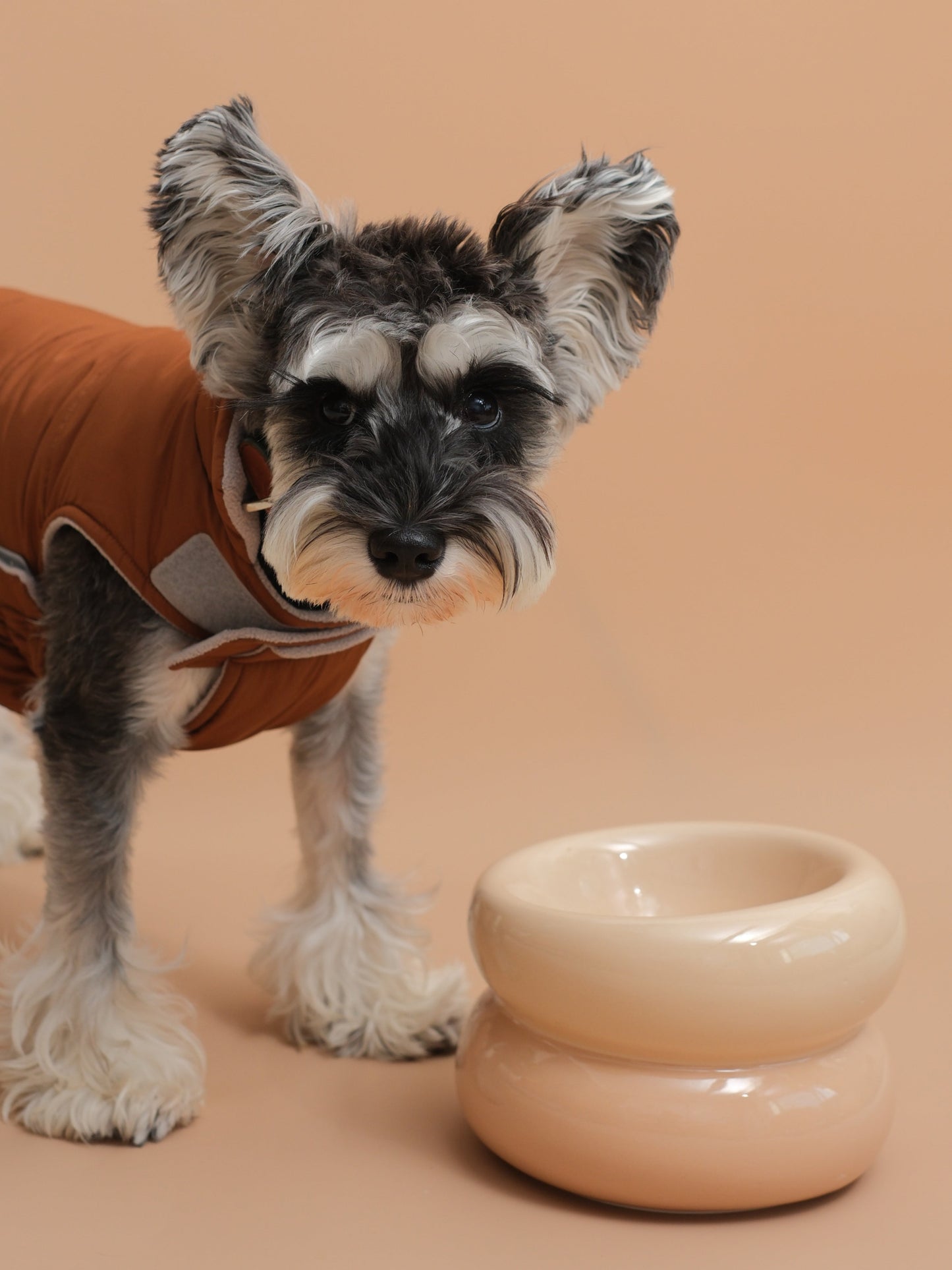 PEHOM | Soufflé Pet Bowl | Cream Beige