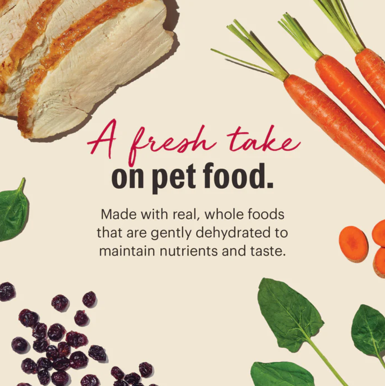 The Honest Kitchen | Grain Free Turkey Dog Food