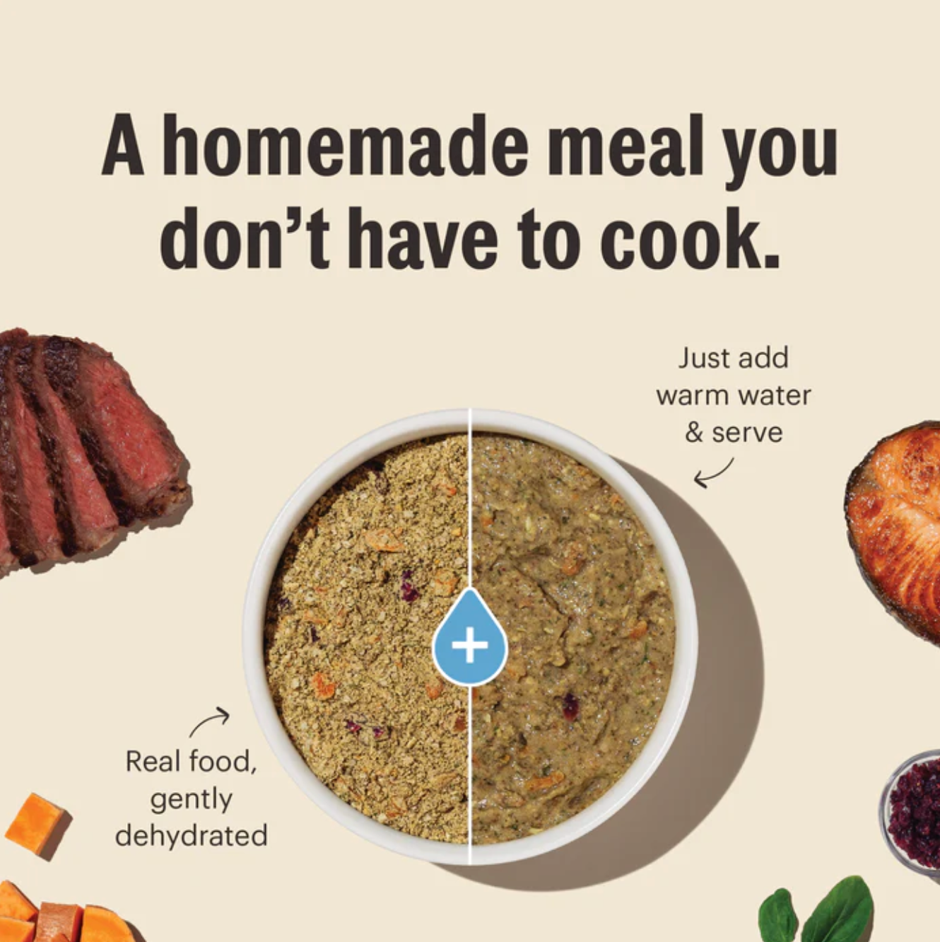 The Honest Kitchen | Grain Free Turkey Dog Food