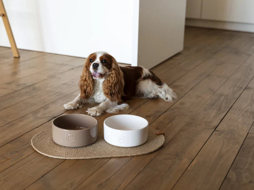 Harley & Cho | Ceramic Pet Bowl | Medium