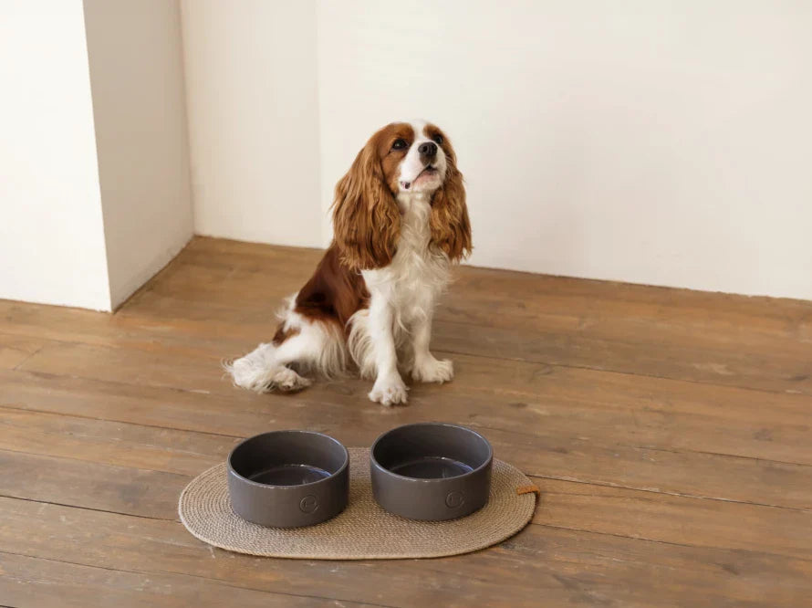 Harley & Cho | Ceramic Pet Bowl | Medium