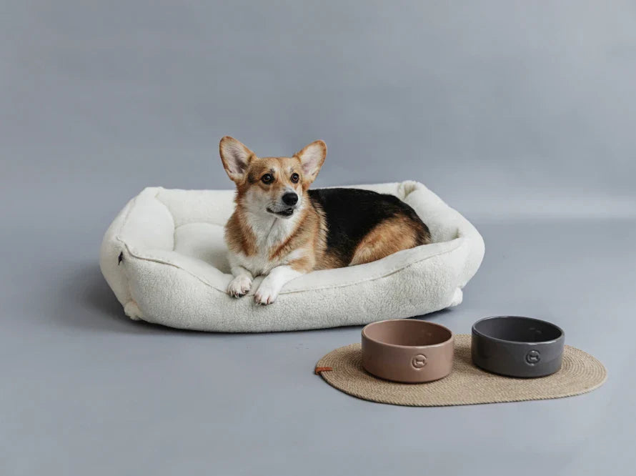 Harley & Cho | Ceramic Pet Bowl | Medium