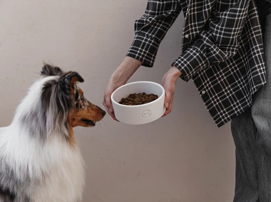 Harley & Cho | Ceramic Pet Bowl | Medium